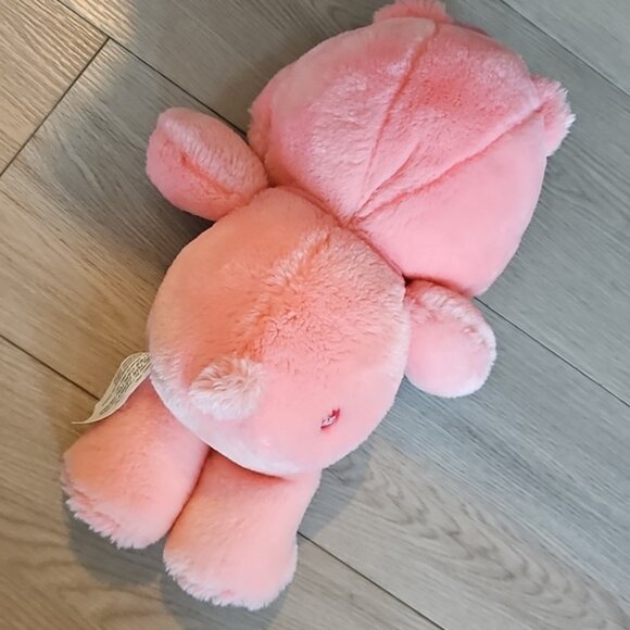 Vintage 2000s Care Bears Cheer Bear Plush - Picture 6 of 9